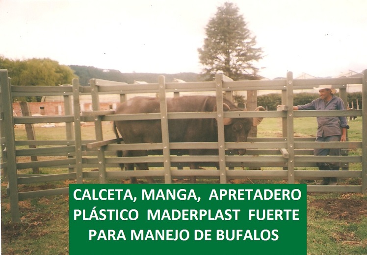 corral de madera plástica para búfalos calceta manga maderplast brete ganado bufalino corrales embudos calcetas embudo búfalo calceta bretes apretaderos instalaciones mangas wpc maderas 00 corral de madera plástica para búfalos calceta manga corral de madera plástica para búfalos calceta manga maderplast brete ganado bufalino corrales embudos calcetas embudo búfalo calceta bretes apretaderos instalaciones mangas wpc maderas 00 maderplast brete ganado bufalino corrales embudos calcetas embudo búfalo calceta bretes apretaderos instalaciones mangas wpc maderas 00
